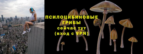 ECSTASY Бугульма