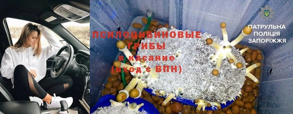 ECSTASY Бугульма