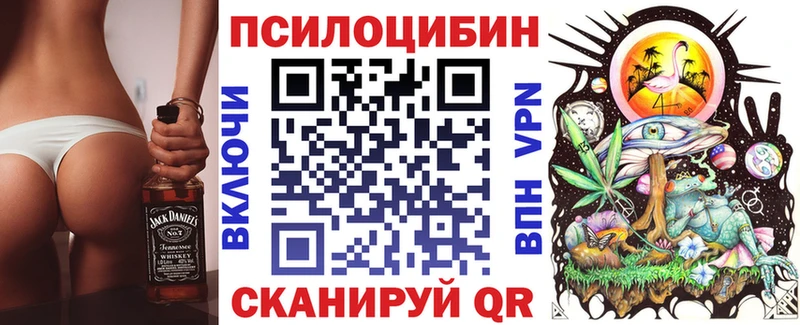 где продают   Каспийск  ОМГ ОМГ ONION  Псилоцибиновые грибы Psilocybine cubensis 