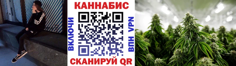Каннабис сатива  магазин  наркотиков  Каспийск 